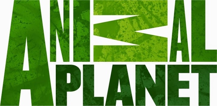 Πρεμιέρα για το Aninal Planet HD στον ΟΤΕ TV