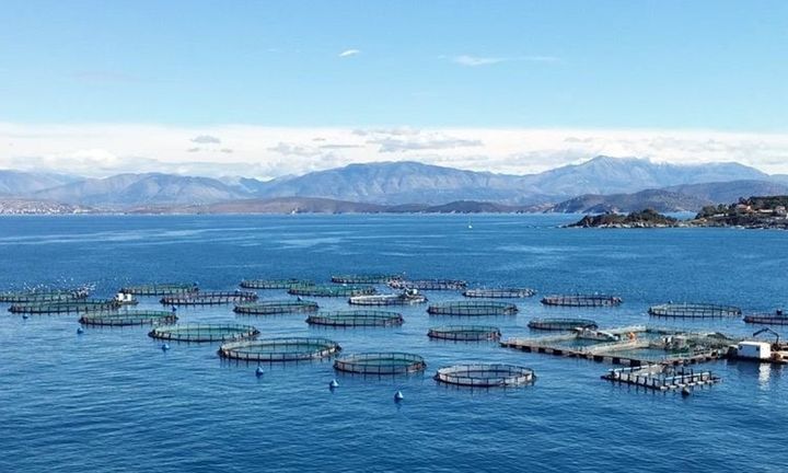 «Κληρώνει» για την πώληση Νηρέα και Σελόντα