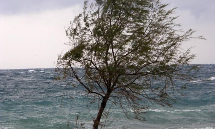 Κλέαρχος Μαρουσάκης: Από σήμερα ψυχρή εισβολή - Δυνατοί βοριάδες, βροχές και καταιγίδες