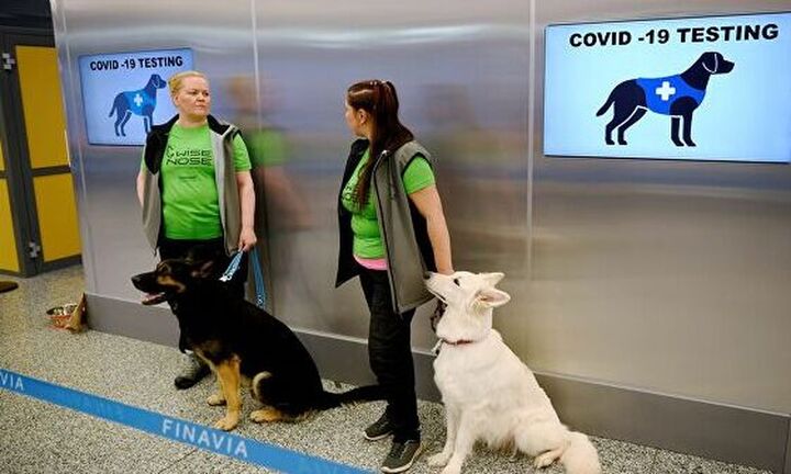 Ρωσία: Το πρώτο εμβόλιο Covid-19 για ζώα είναι γεγονός
