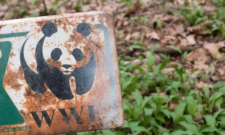 WWF: Εκατοντάδες εκατομμύρια άνθρωποι ανησυχούν πλέον για την απώλεια της φύσης