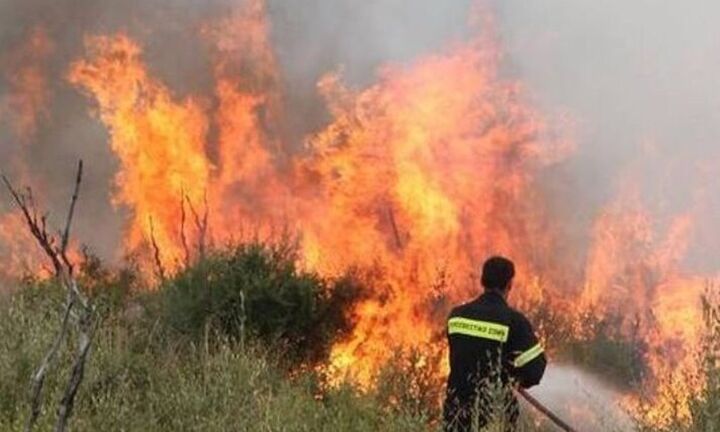 Σε ύφεση η φωτιά στη Δυτική Φθιώτιδα
