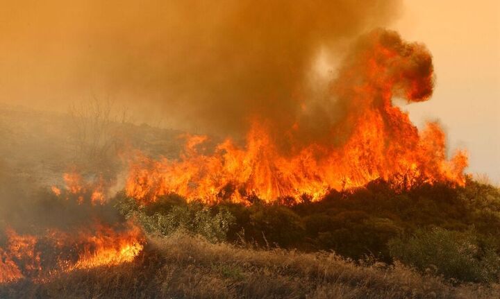 Γ.Γ. Πολιτικής Προστασίας: Σε ποιες περιοχές υπάρχει πολύ υψηλός κίνδυνος πυρκαγιάς την Πέμπτη - Fpress.gr