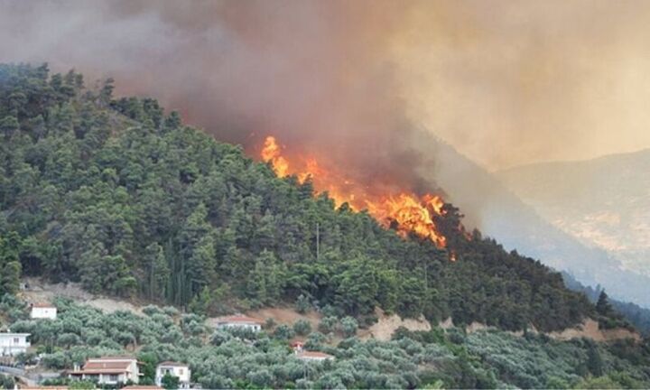 Σε εξέλιξη πυρκαγιές σε Θάσο και Καστοριά