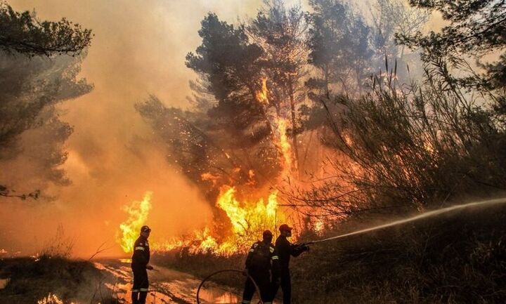 Πυρκαγιά στην Αχαΐα: Μεταφέρθηκαν με ασφάλεια οι κάτοικοι της Δροσιάς