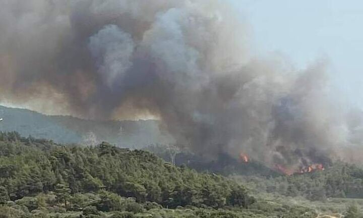 Σε κατάσταση έκτακτης ανάγκης οι δημοτικές ενότητες Πεταλούδων και Καλλιθέας Ρόδου