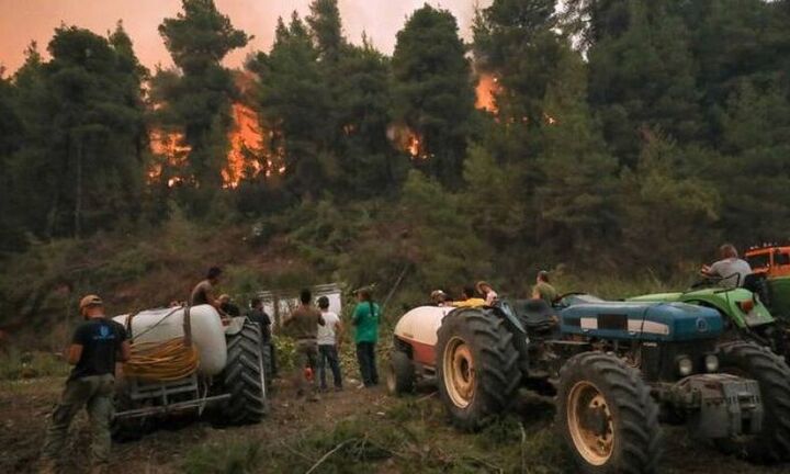 Μέτρα για την στήριξη πυρόπληκτων αγροτών και παραγωγών