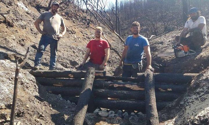 ΥΠΕΝ: Πάνω από 700 δασεργάτες στις πυρόπληκτες περιοχές της Βόρειας