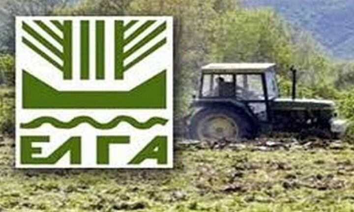 ΕΛΓΑ: Πίστωση αποζημιώσεων 13,3 εκατ. ευρώ σε 8.516 δικαιούχους για τον «Παγετό Άνοιξη 2021»