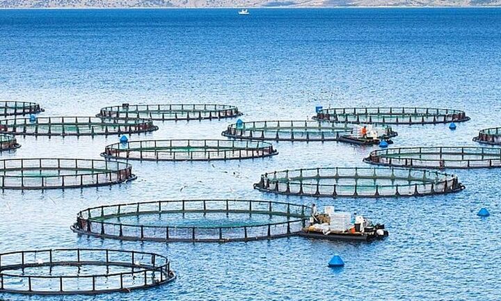 Συμμετοχή Φραγκογιάννη και Σμυρλή στο 2ο Συνέδριο Ιχθυοκαλλιεργειών