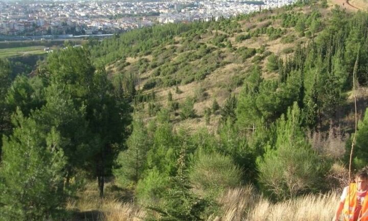 Αυτόνομο σύστημα ανίχνευσης πυρκαγιών στο Σέιχ Σου