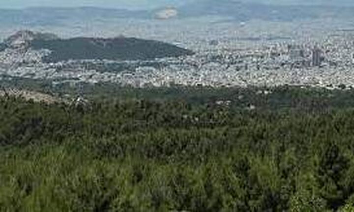 Χρηματοδότηση 11 εκατ. ευρώ στον Σ.Π.Α.Υ. για έργα αντιπυρική προστασίας