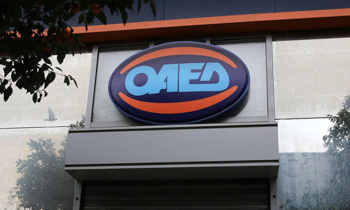 ΟΑΕΔ: Από σήμερα οι αιτήσεις για το ειδικό πρόγραμμα απασχόλησης ρητινεργατών