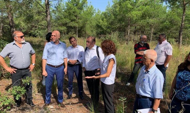 Γ. Αμυράς: «Αναδάσωση με 42.500 πλατύφυλλα στο Σέιχ Σου»
