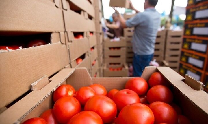 Από σήμερα οι αιτήσεις υπαγωγής στο καθεστώς της Αγροδιατροφής του νέου Αναπτυξιακού
