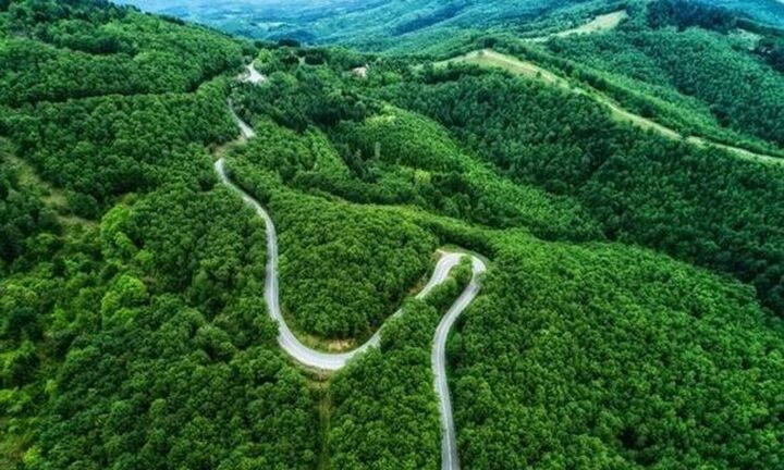 WWF: Ζητά παρέμβαση της Κομισιόν για την προστασία περιοχών Natura